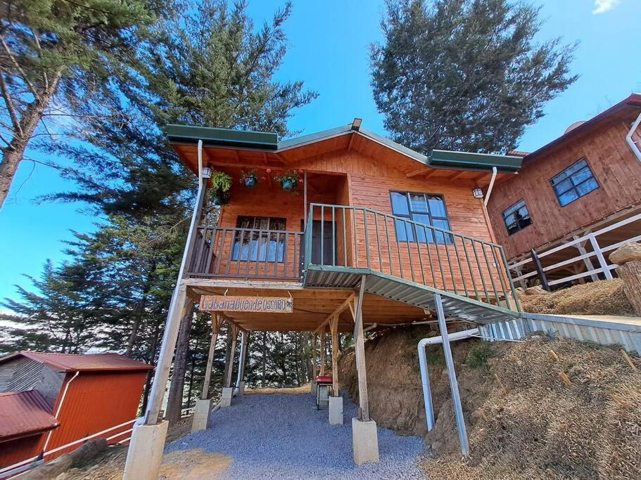 Cabana Duende Oscuro - Paradise In The Mountains! San Pablo  Exterior photo