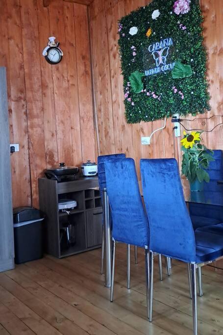 Cabana Duende Oscuro - Paradise In The Mountains! San Pablo  Exterior photo